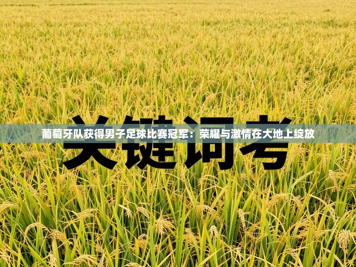 葡萄牙队获得男子足球比赛冠军:荣耀与激情在大地上绽放 第1张