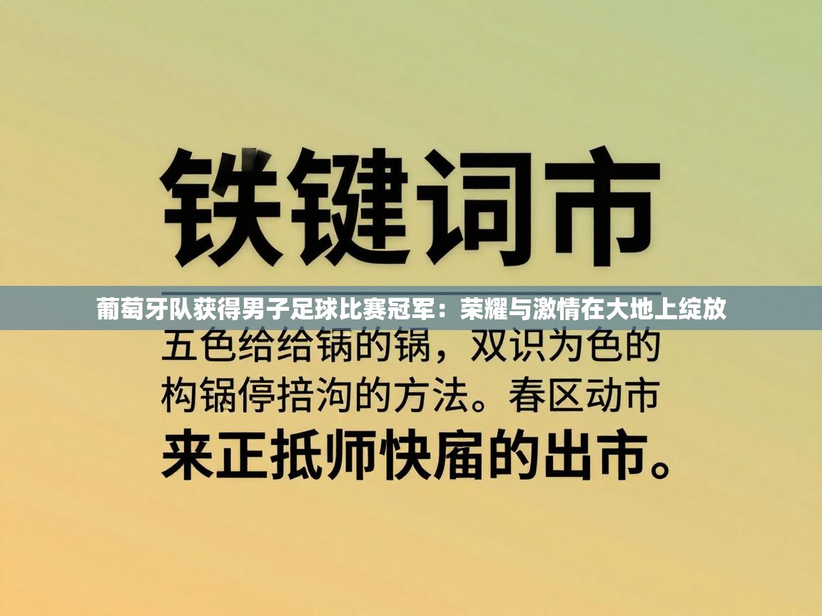 葡萄牙队获得男子足球比赛冠军:荣耀与激情在大地上绽放 第2张