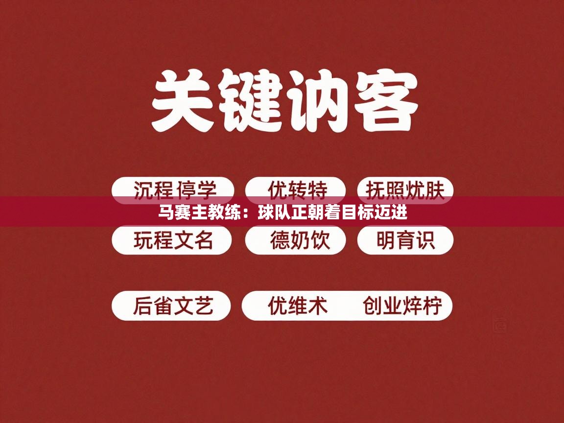马赛主教练：球队正朝着目标迈进  第1张
