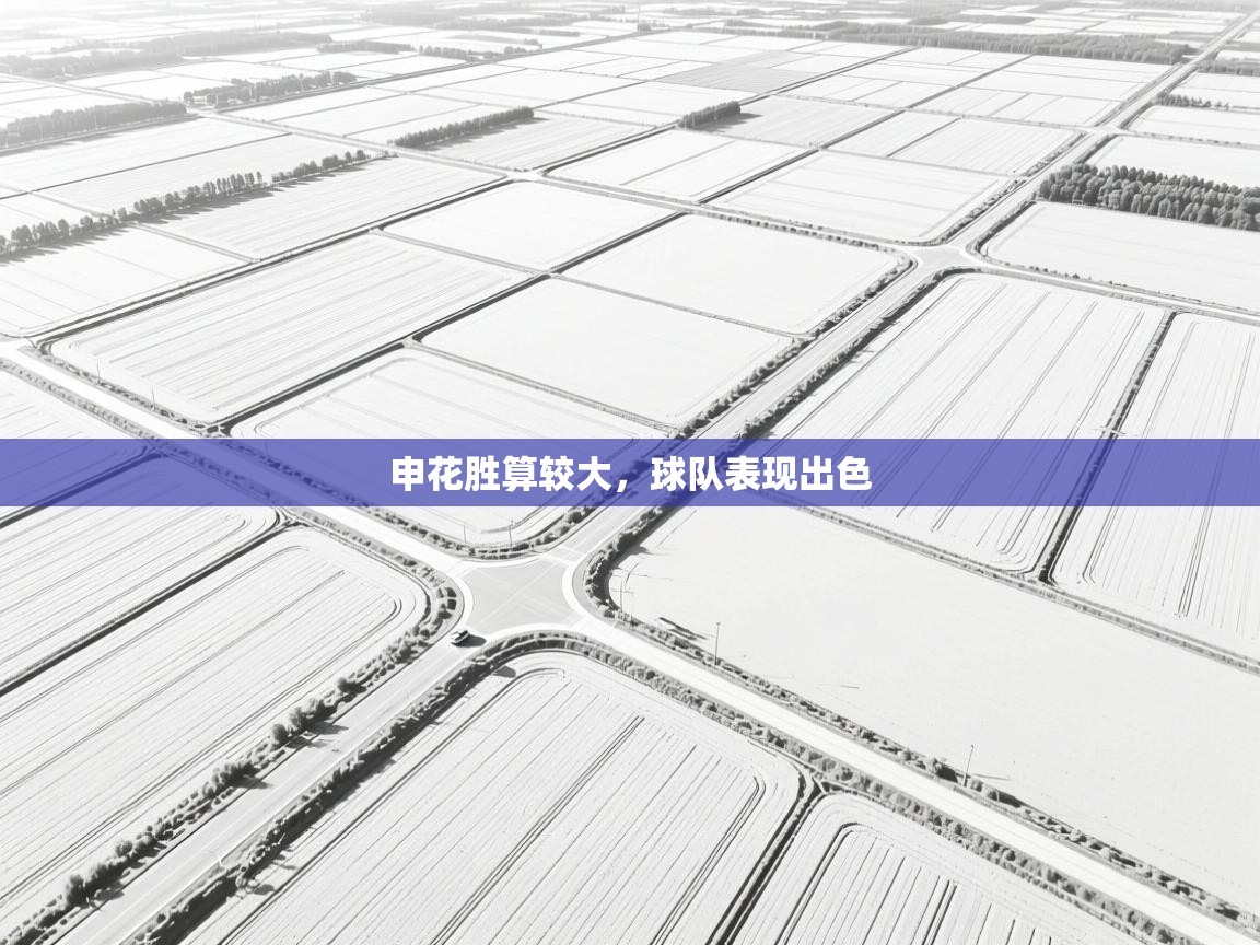 申花胜算较大，球队表现出色  第1张